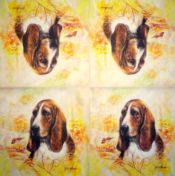 HUN-1502 Hunde - 3-lagig - Specials